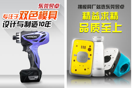 广东双色模具